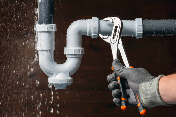 Professional Leak Detection technician working in Forreston, IL